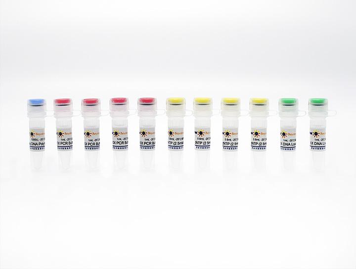 PCR Kit with Taq